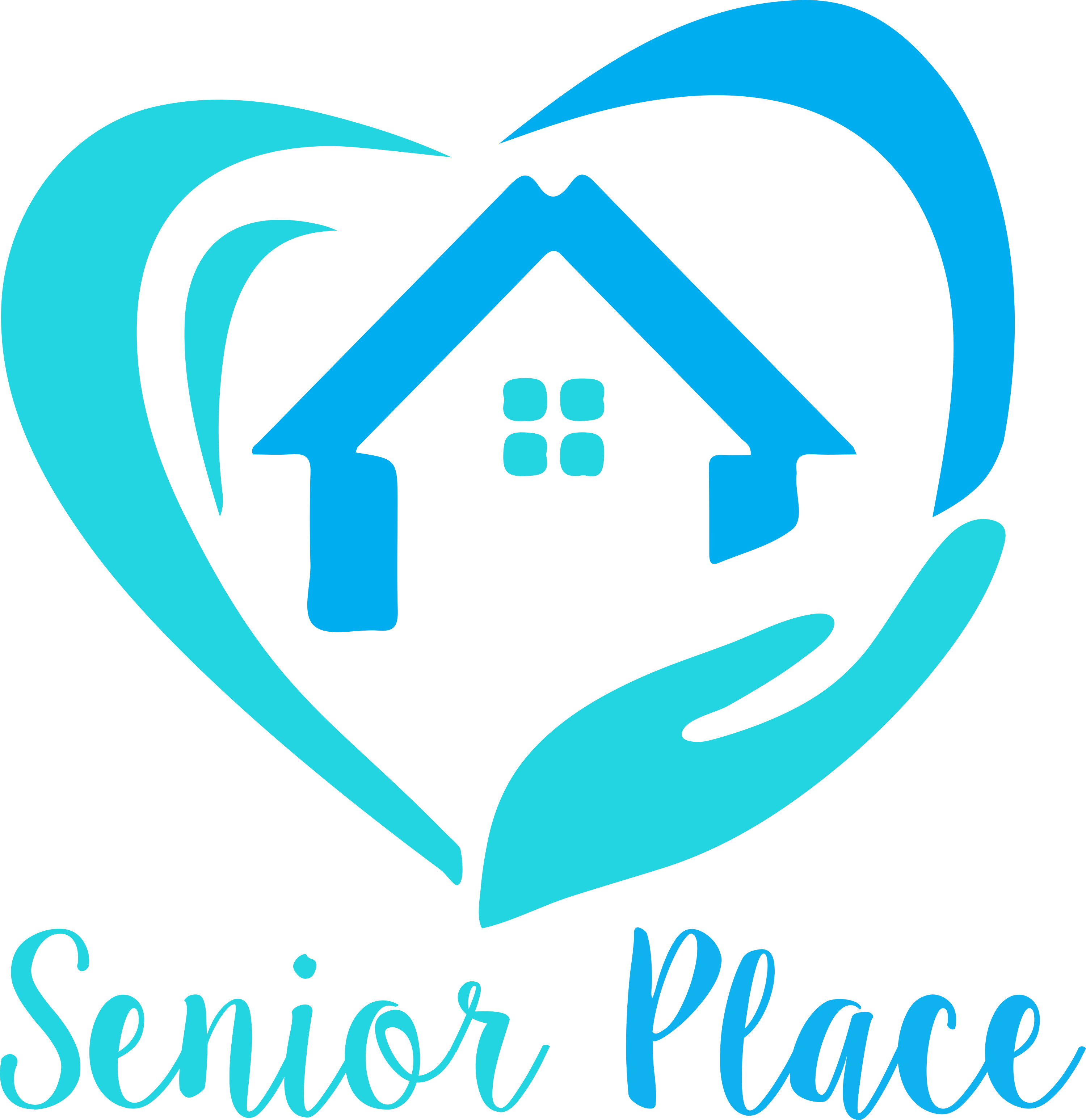 Senior Place Logo